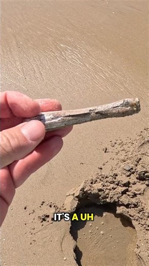 How did this get here?🍴 #metaldetecting #beachmetaldetecting #silver