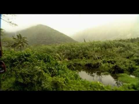 Deftones - Digital Bath (Live in Hawaii) (HQ)