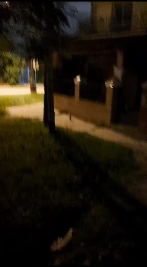 #linkinpark#humor#fyp#parati