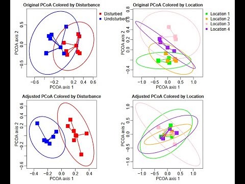 Principal coordinates analysis (PCoA) in R