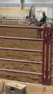 Jill Macchi Tango boxing at the MSU Ranch Horse Team versatility ranch show ! | Johnie Clem