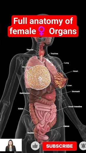 3D Animation: Complete Female Organ Anatomy | Internal & Reproductive System Explained