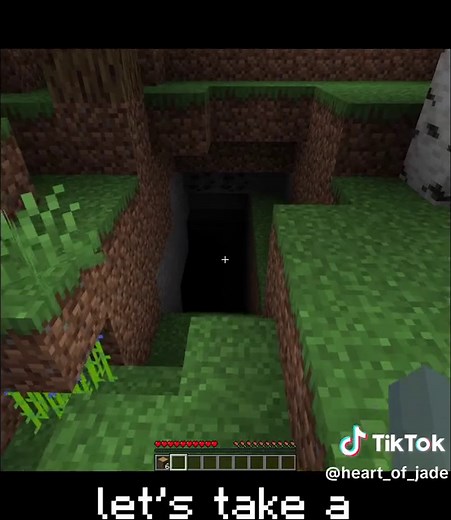 heart_of_jade on TikTok