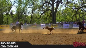 8.1K views · 205 reactions | Love watching team roping videos? Enjoy...