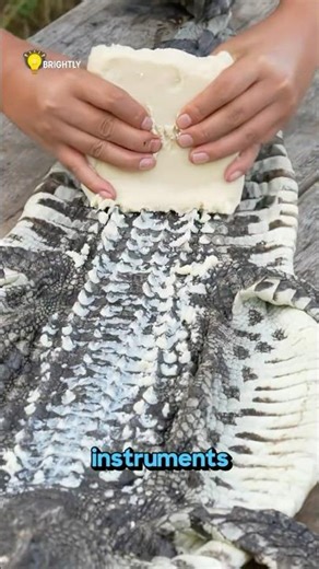 A Crocodile Turns into a Musical Instrument! 🤯