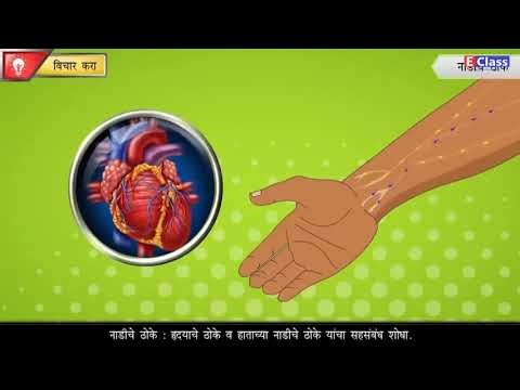 Standard 8, Science chapter 11, मानवी शरीर व इंद्रिय संस्था, Marathi Medium, Maharashtra Board