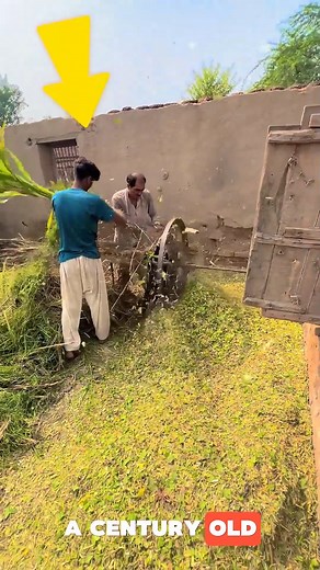 2.7K views | ⚙️ Over 100-Years-Old Bull-Powered Chaff Cutter This...
