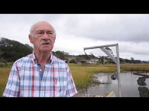Benefits of Living Shorelines