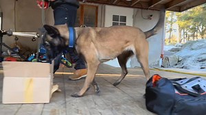 22K views · 534 reactions | Our new search development course shows...