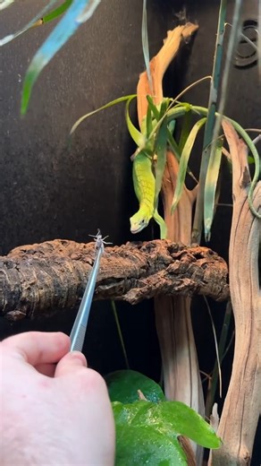 17K views · 205 reactions | Mason Barns on Reels | Facebook