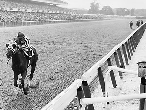 The Top 10 Most Famous Racehorses Of All Time - Casino.org Blog