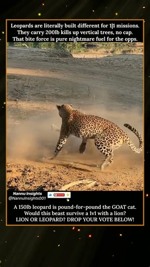 Why Leopards are literally Built Different 💀🐆 ---