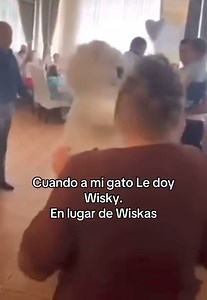 30K views · 276 reactions | 藍 | Not My Problem | Facebook