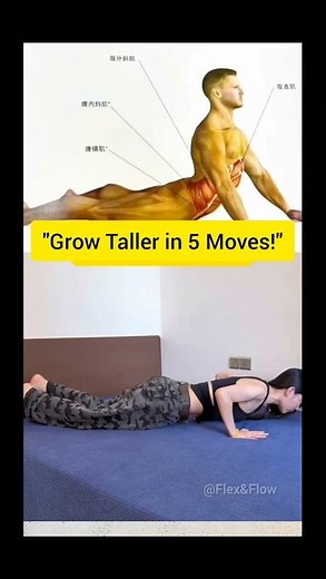 “5 Best Stretches to Grow Taller Fast (100% Proven)”
