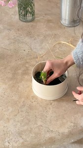 16K views · 143 reactions | DIY floral gift idea  #bouquetbox #flowerbox #floralarrangements #diyflowers #giftideas | FloralSupplies.com | Facebook