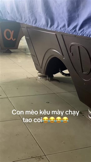 Video của Tuyet minh (@tuyet.minh865) với bản nhạc 原聲 - 行走的镜头