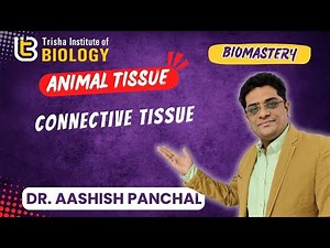 CONNECTIVE TISSUE