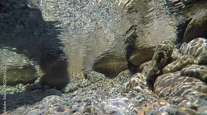 Underwater Video of River Rock Bottom with Rapids