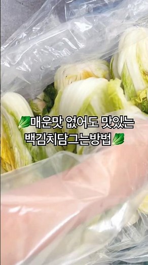 하얀김치 백김치담그는방법 알토란 백김치 레시피 #요리쑥쑥tv #kfood #백김치 #백김치레시피 #백김치담그는법 #백김치담그는방법 #알토란백김치