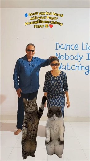 Viral Cat Dance on Kisi Disco Mein Jaaye | Amisha Modha feat.Hiten Modha #catdance #viral #trending