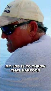 How to Harpoon from the Air 🛥️ 🐟 ✈️ #WickedTuna #BluefinTuna #Lily