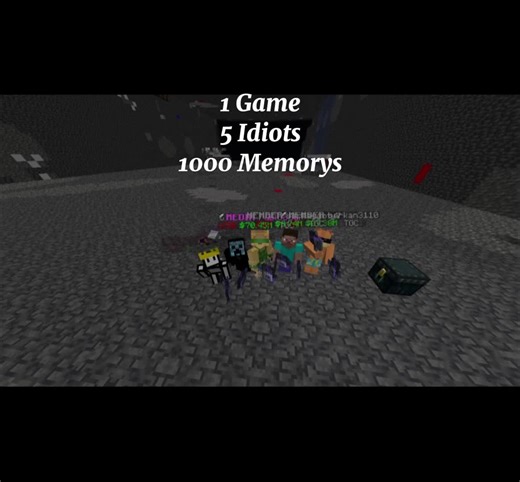 Minecraft: Building Friendship for Life