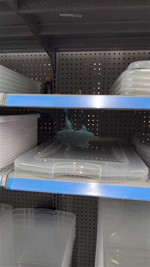 Exciting Retail Life: Navigating Customer Demands at Walmart