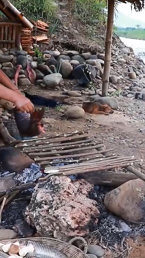 57K views · 1.2K reactions | Woman grill a lot of fish for dogs #pets #survival #hunting #dog #doglover #fishing #fruits #cooking #chef #beautiful #food | Uncle Bee Recipe | Facebook