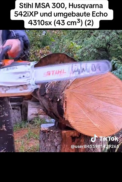 Stihl MSA 300, Husqvarna 542iXP und umgebaute Echo 4310sx (43 cm³) (2)