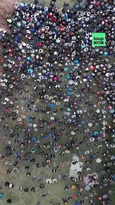 Bernie Sanders continue sa tournée anti-Trump dans l’Ouest des États-Unis. Devant le Capitole, 35 000 personnes se sont réunies sur l’esplanade du Civic Center pour l’écouter. | Loopsider