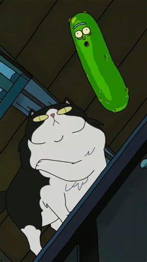 Pickle Rick and The Cat