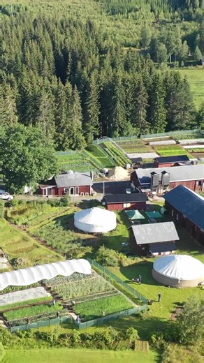 7.2K views · 806 reactions | Want to use this winter to define your future, design your farm and plan your business? Times running out to join us for our online #regenerativeagriculture Masterclass. See links in bio… | Ridgedale Farm | Facebook