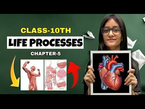 Life Processes 🔥 Competency Based Questions | Class 10 Biology | CBSE Boards 2026