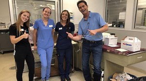 There is a skunk in your yard! What should you do?