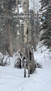 Top 10 Winter Hiking Tips for Your 52 Hike Challenge 量❄️ The...