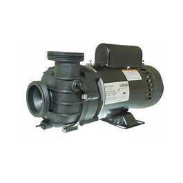 2 HP DJAYGB Spa Pump 2 Speed 230V 4239208-S