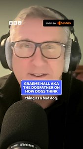 12K views · 57 reactions | “It’s almost always down to how we react” An insight into how dogs think from Graeme Hall AKA The Dogfather! Listen to Mornings on BBC Sounds. #Mornings #TheDogfather | BBC Radio Scotland | Facebook