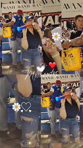 Magallanes Triumphs in Venezuelan Baseball