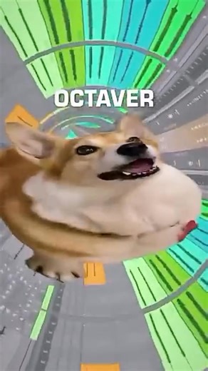 This is a great beginners guide to "automation." 😅 | EDMTunes