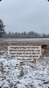 28K views · 2.5K reactions | For five years, we’ve poured everything...