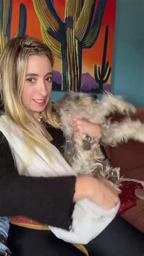 This Pet Sling Made Walking My Dog So Easy