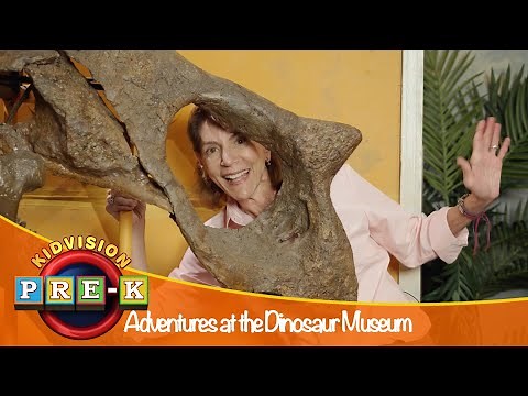 Adventures at the Dinosaur Museum | Virtual Field Trip | KidVision Pre-K