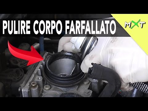 PULIZIA TOTALE CORPO FARFALLATO FAI-DA-TE