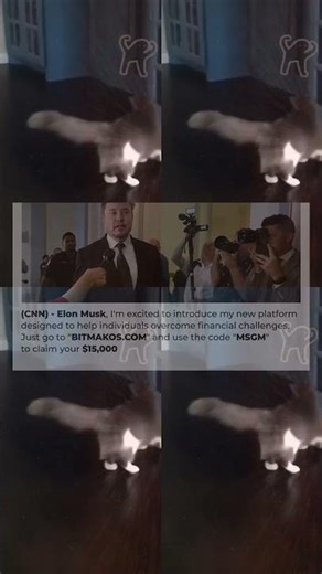 BEST DANK CAT MEMES COMPILATION OF 2020 PART 11 from TikTok 473s