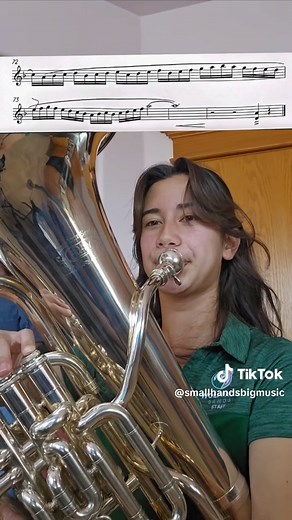 Euphonium and Baritone Brass Band Practice and Rehearsal Insights