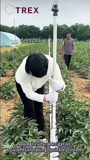 Easy DIY Sprinkler System Installation: Step-by-Step Guide #irrigation #sprinkler #shorts #agri