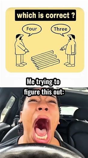 The Impossible Sticks Meme! 🪵 #OpticalIllusionMeme #funnymemes