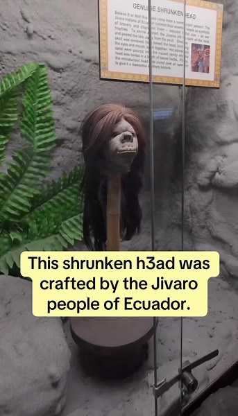 Understanding the History of Shrunken Heads