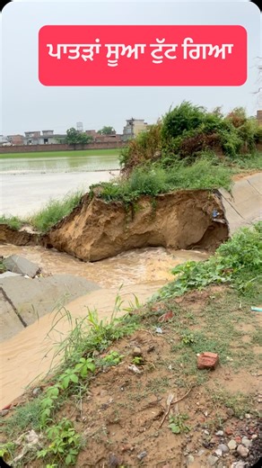 JS Agriculture Workshop on Instagram: "Patran today"