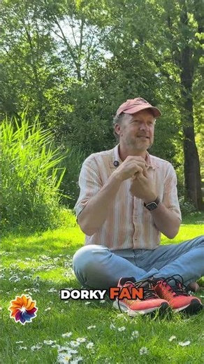Master StoryBrand: Donald Miller's 7 Hero's Journey Steps #shorts